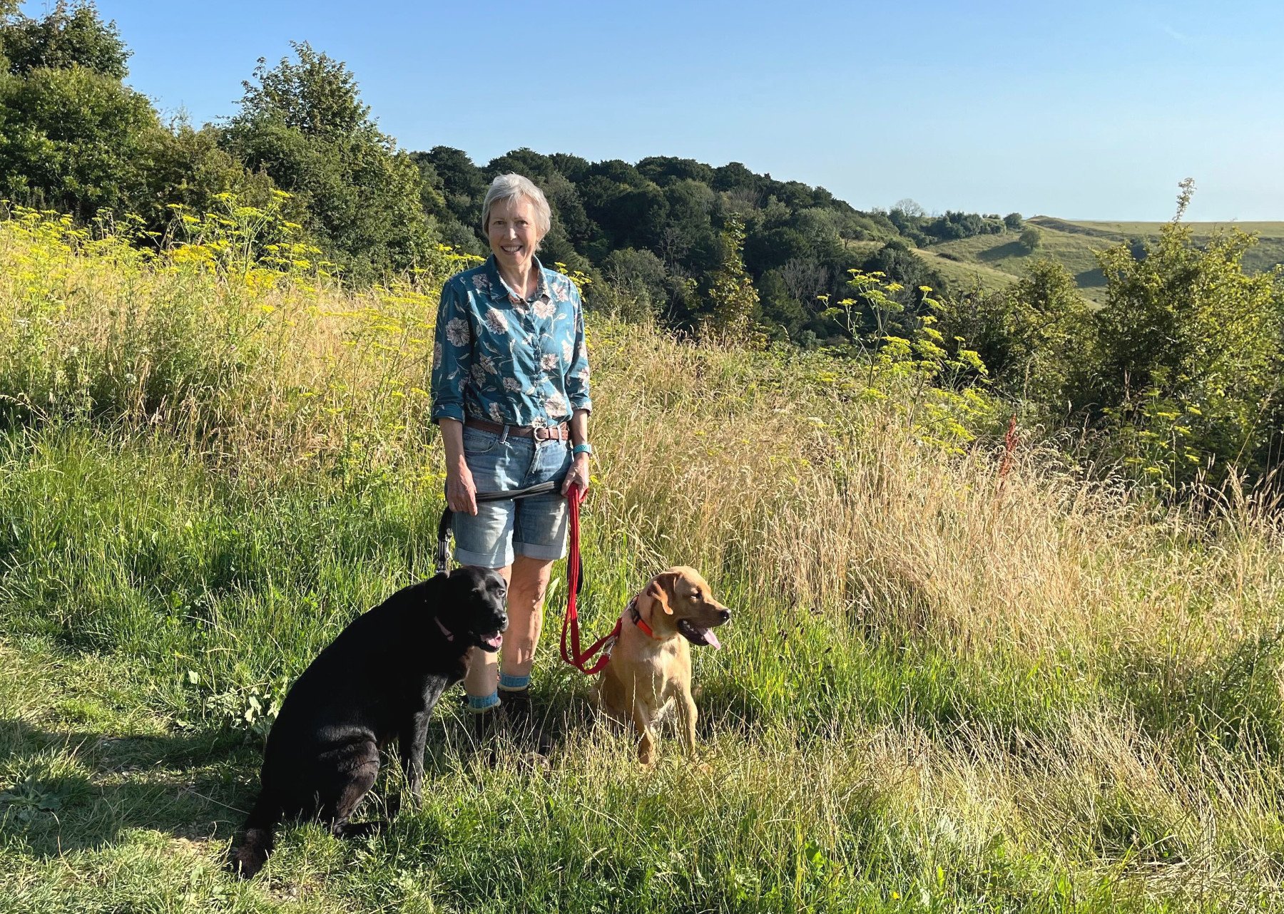Suzie Wilde, Raine and Paddy on Old Winchester Hill
